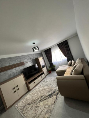 Borșa ApartHotel 4